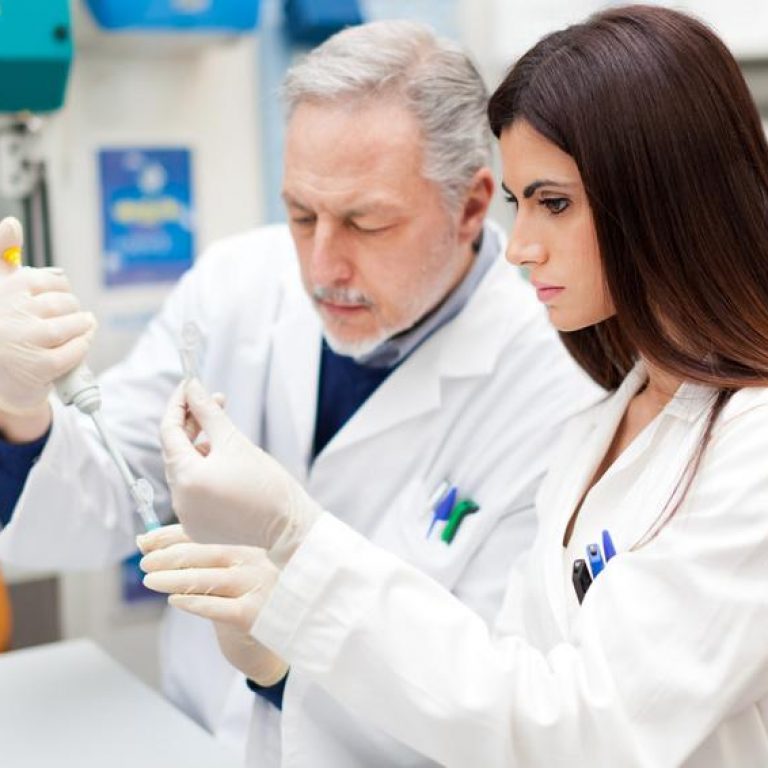 Researchers at work in a laboratory